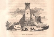CARPENEDOLO rovine del