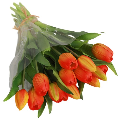 Splendido pacchetto tulipani
