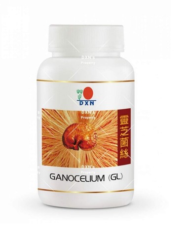 Mycelium reishi ganoderma - mycelium, di