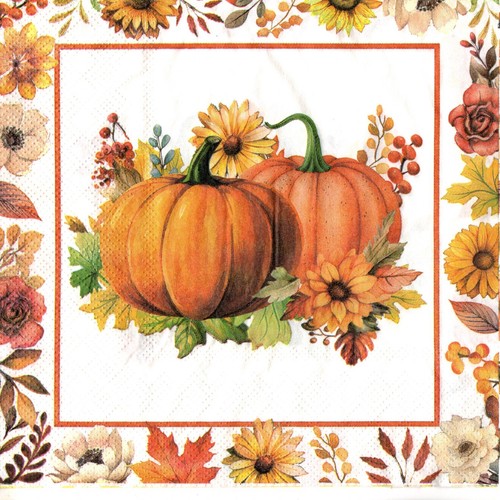 Serviettes papier potiron - en,