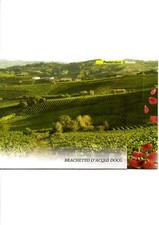 FOLDER FILATELICO - BRACHETTO