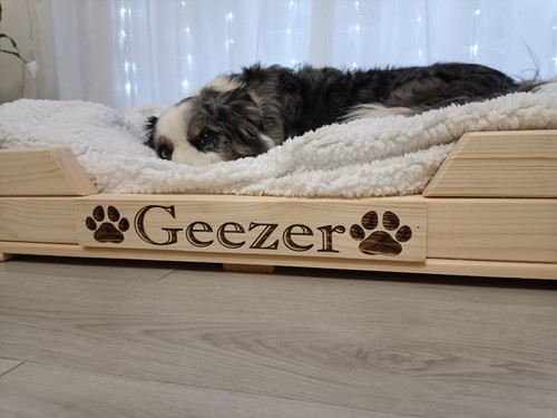 Cuccia per cani legno - cani, in