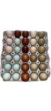 12 UOVA. 2xAraucana 2xOlive 2xMarans 2xAustralorp 2xAmrock 2xBrahma. 12Uova