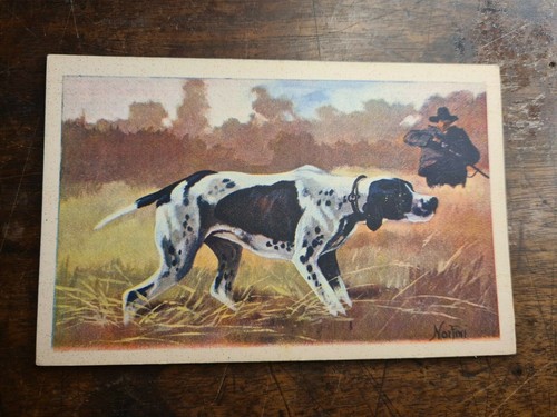 Cartolina cani caccia cane - cartolina, da