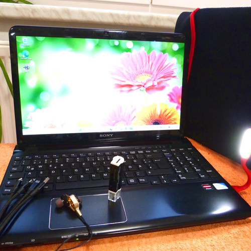 Set sony vaio sve15 fit - fit, 15