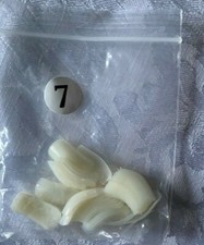 FINTE UNGHIE DA DONNA TAGLIA 7