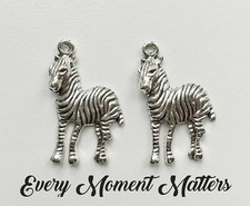 10 ciondoli ciondolo argento