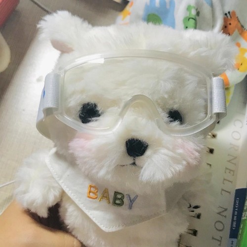 Htf nuovo peluche maltese - peluche,