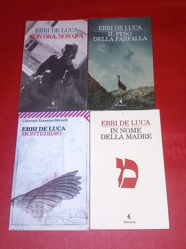 Lotto erri luca vol in - erri, de