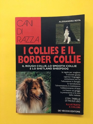Collies il border - i, e