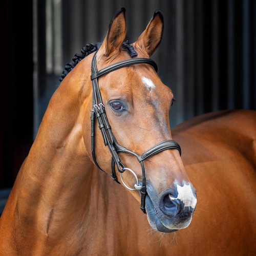 Shires lusso briglia cavesson - briglia,