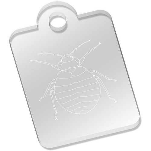 Bed bug laser engraved clear - 'bed,