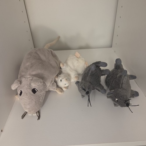 Grey mouse white - grey,
