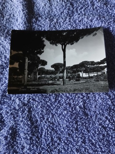 Cartolina scauri 1954 - scauri,