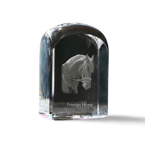 Frisone cavallo cubi - cavallo,
