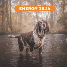 Wildseason Energy 28.14