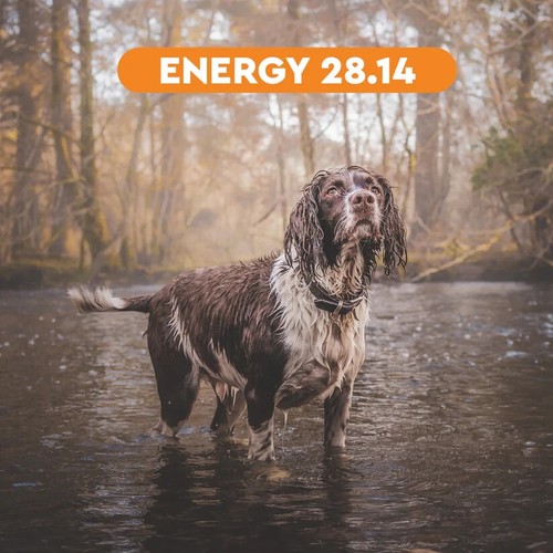 Wildseason energy 14 - wildseason,