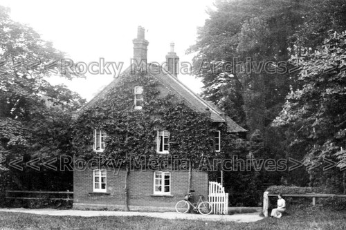 Zmm the cottage - cottage,, coate