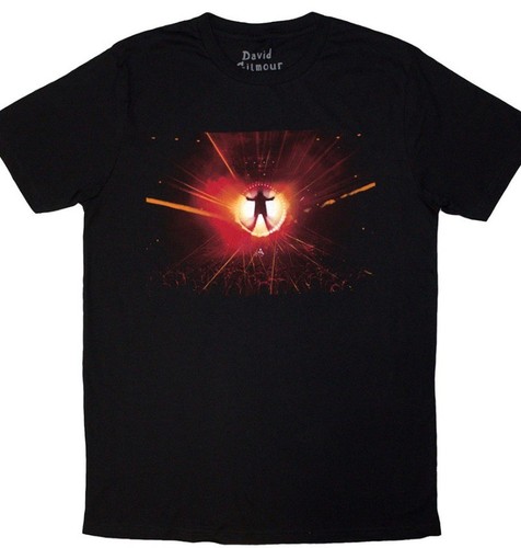 David gilmour unisex shirt - david,