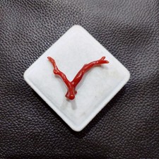 VENDITA Ramo di corallo rosso