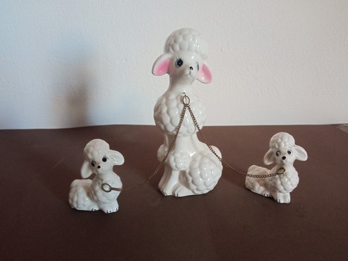 Cani barboncino porcellana - cani,