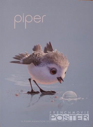 Piper rarissimo poster - piper,