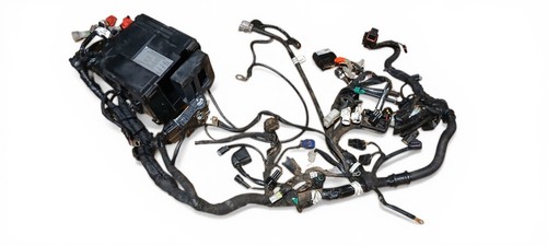 Cablaggio completo telaio