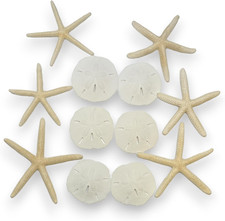 Dollari di sabbia e stelle