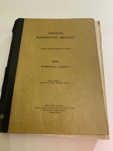 Rapporto annuale narrativo