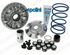 Polini Performance Variator