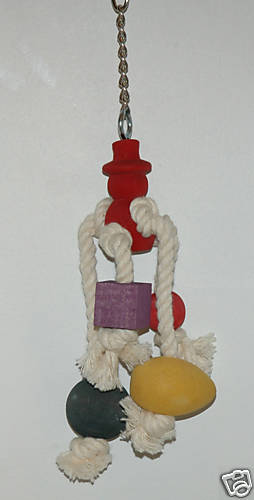 Pappagallo uccellino - pappagallo,