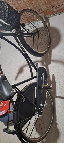 Bici adriatica vintage donna - adriatica,