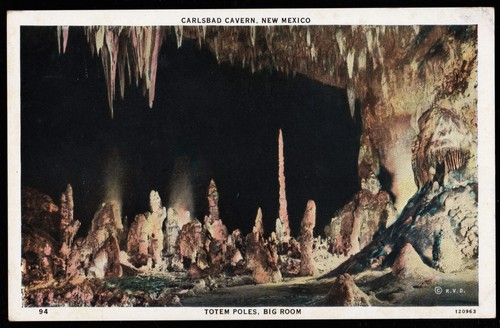 Carlsbad caverns national park - national,