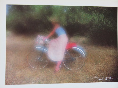 Carte postale david - ,