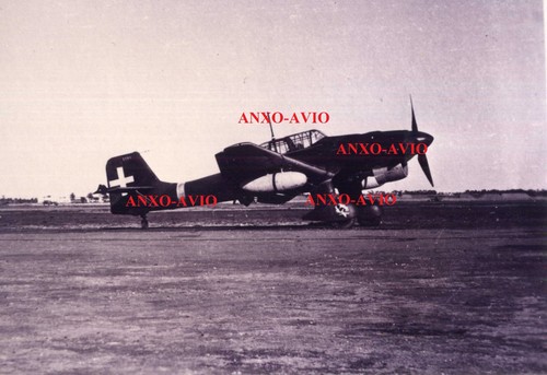 Foto fronte africa 1942 - fronte,