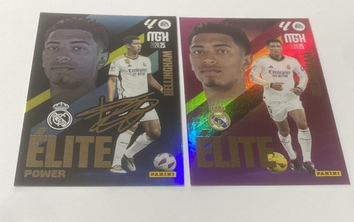 Lote elites bellingham elite - elites,