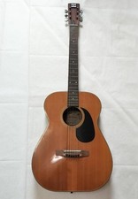 Chitarra acustica Elite