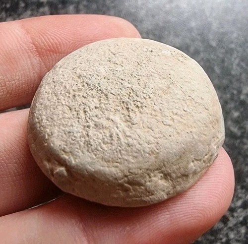 Viking roman lead - viking, gaming