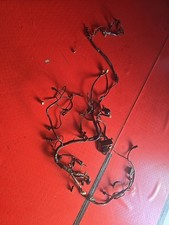 Impianto Elettrico Cablaggio Ducati Monster S2r1000