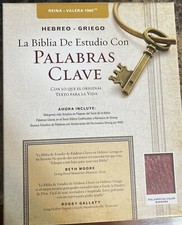 BIBLIA PALABRAS CLAVE DICCIONARIO HEBREO- GREIGO PIEL ESPECIAL BORGOÑA  RV 1960