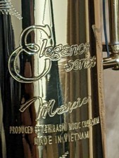 [Buone condizioni] Sassofono