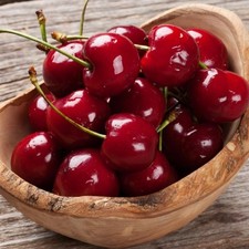 PIANTA DA FRUTTO CILIEGIA