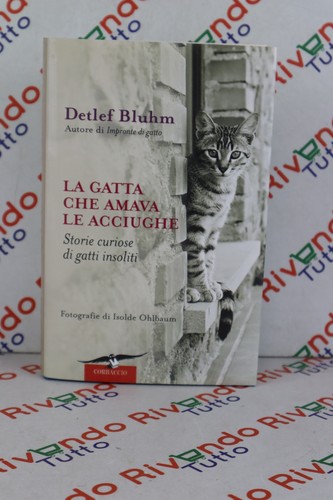 Detlef bluhm gatta - la,