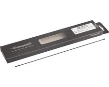 RAGGI RUOTA POSTERIORE DX 