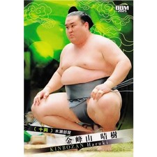 Haruki Kinpusan Sumo Wrestling
