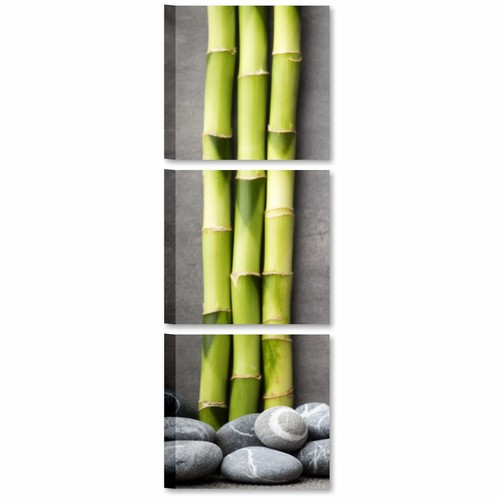 Quadri bagno tris stampe su - quadri,