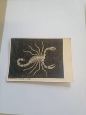 CARTOLINA FOTO SCORPIONE OPERA DI EGLE GASTONE AUTOGRAFATA