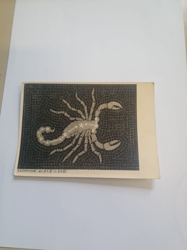 Cartolina foto scorpione opera - foto,