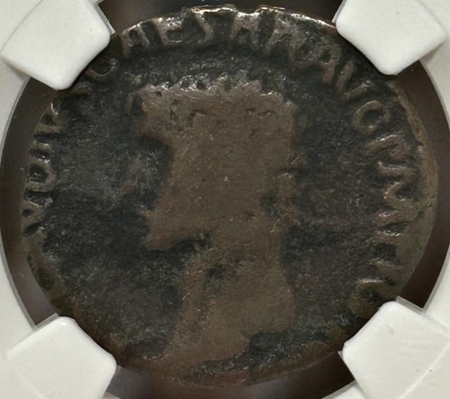 Claudio 41 54 minerva - ad,