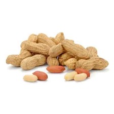 10 SEMI DI ARACHIDI FRESCHI "ARACHIS HYPOGAEA" + regalo